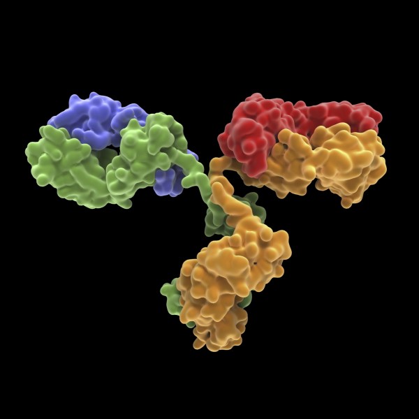 CyFlow™ IgG2a APC